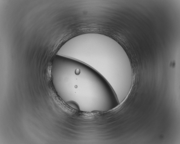 X0000110870190200906181018