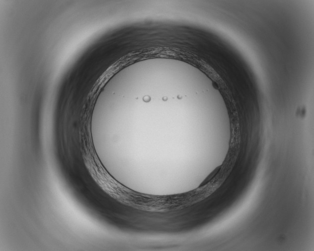 X0000110870191200906181019