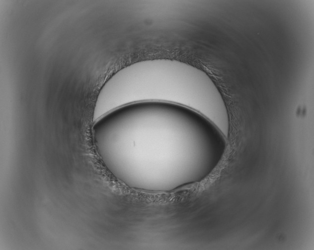 X0000110870192200906181019