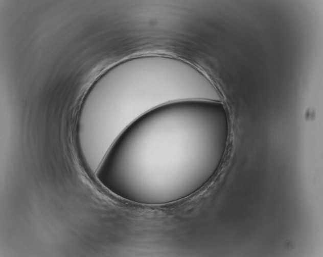 X0000110870193200906181018