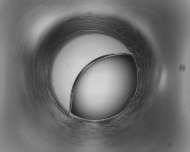 X0000110870195200906181018