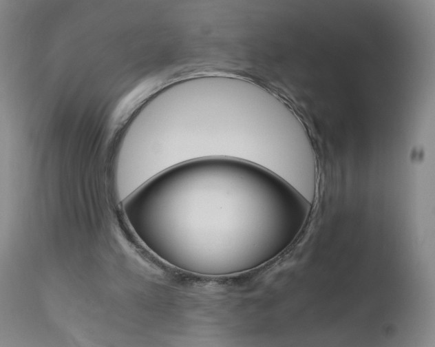 X0000110870197200906181018