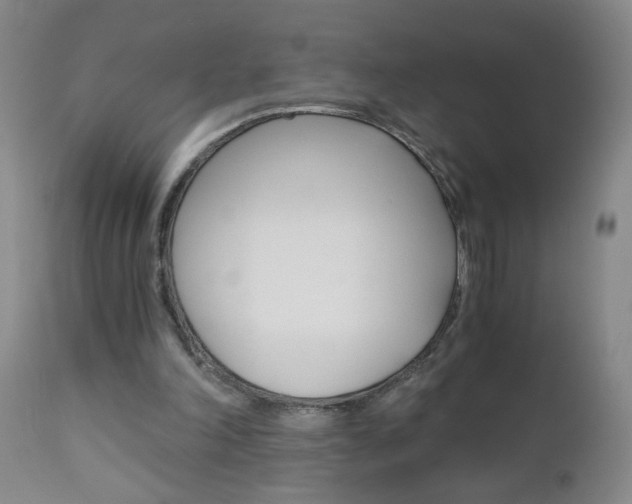 X0000110870198200906181018