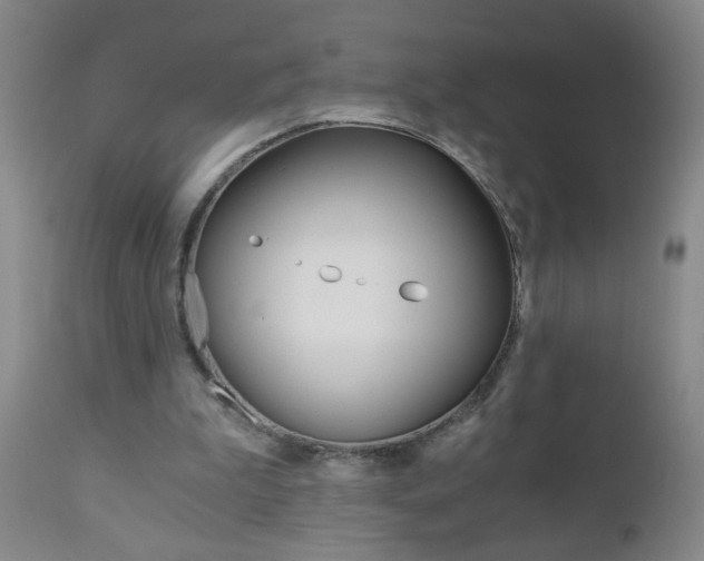 X0000110870199200906181018