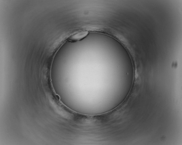 X0000110870201200906181018