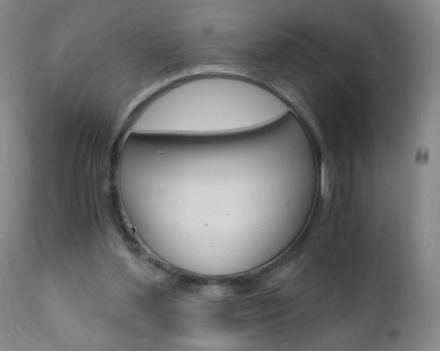 X0000110870204200906181018