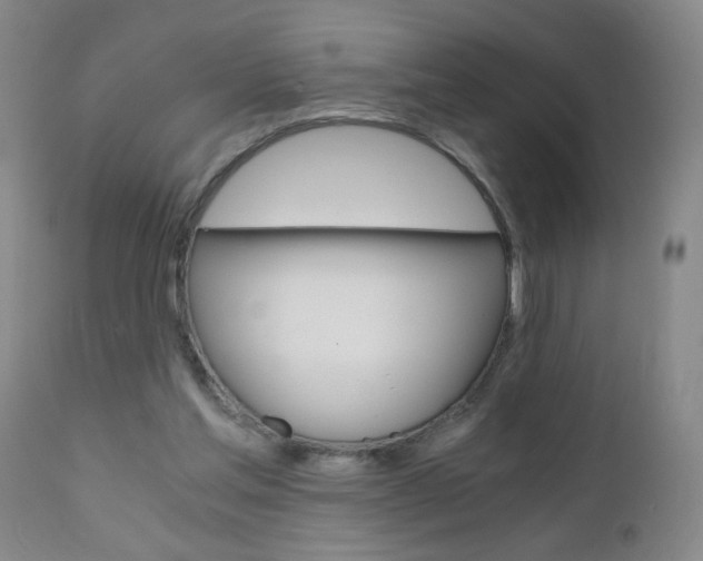 X0000110870205200906181018