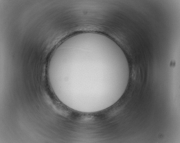 X0000110870206200906181018