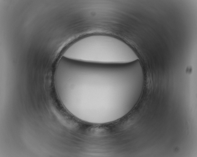 X0000110870208200906181018