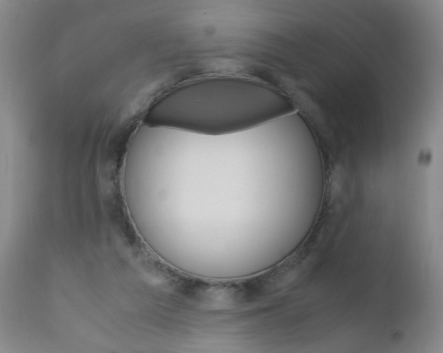 X0000110870209200906181018