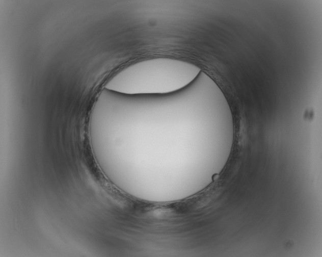 X0000110870210200906181018