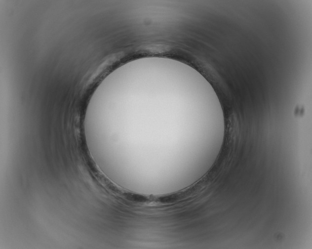 X0000110870212200906181018