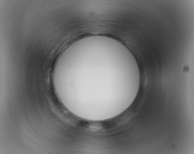 X0000110870214200906181018