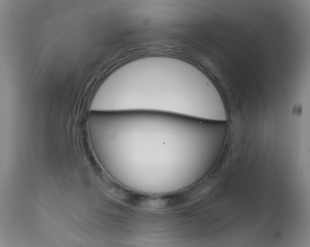 X0000110870217200906181018