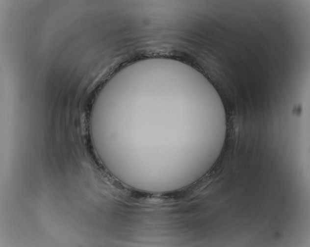 X0000110870224200906181017