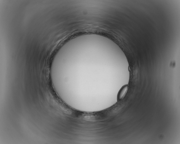 X0000110870228200906181017