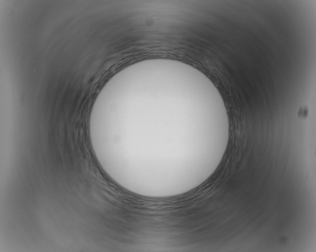 X0000110870229200906181017