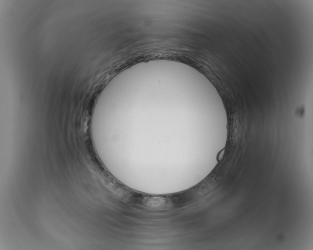 X0000110870230200906181017