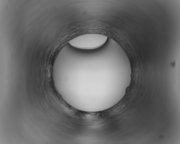 X0000110870232200906181017