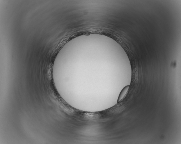 X0000110870234200906181017