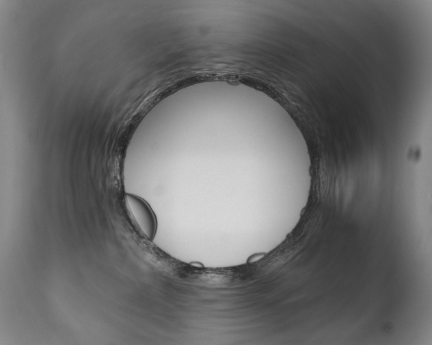 X0000110870236200906181017