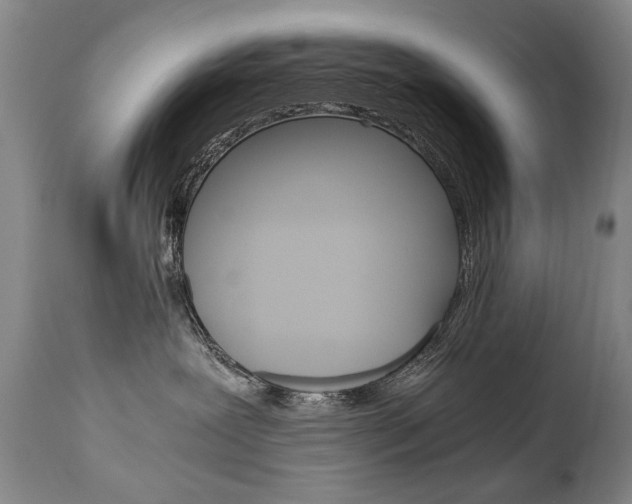 X0000110870239200906181017