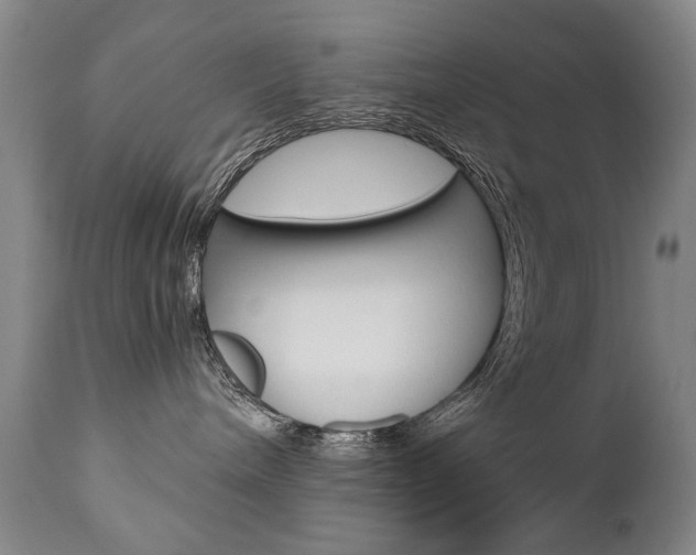 X0000110870240200906181017