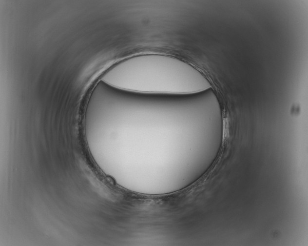 X0000110870243200906181017