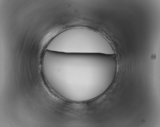 X0000110870245200906181017