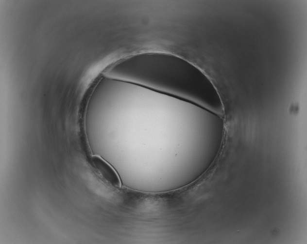 X0000110870248200906181017