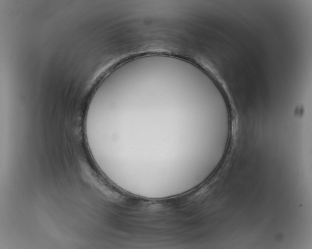 X0000110870249200906181017