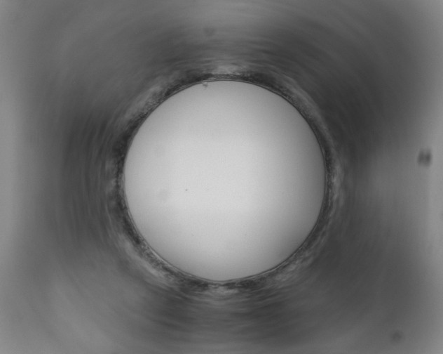 X0000110870257200906181017