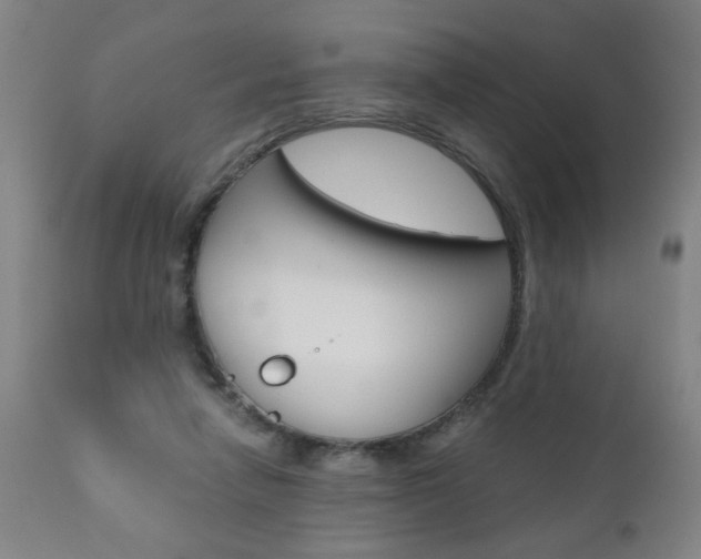 X0000110870258200906181017