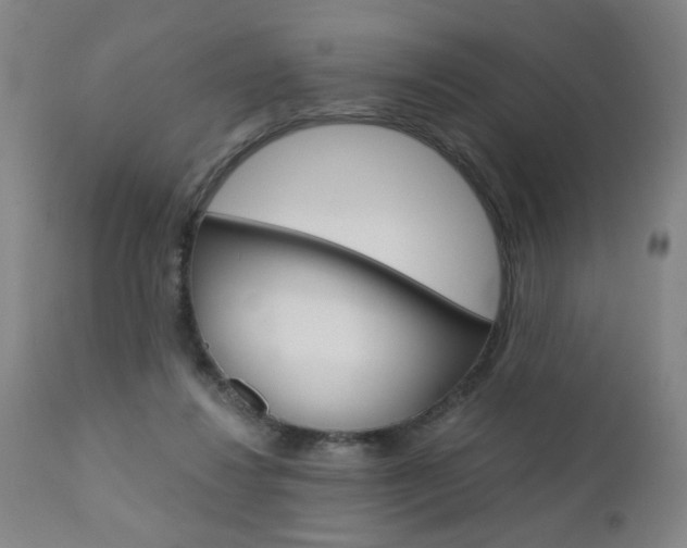 X0000110870260200906181017