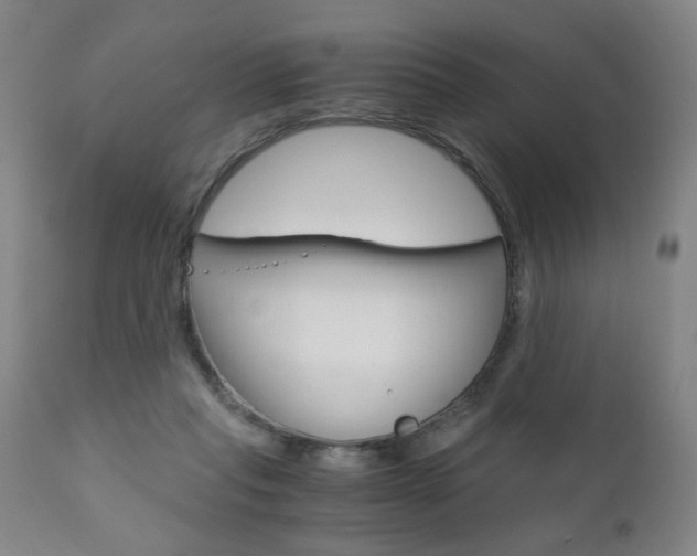 X0000110870261200906181017