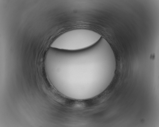 X0000110870263200906181017