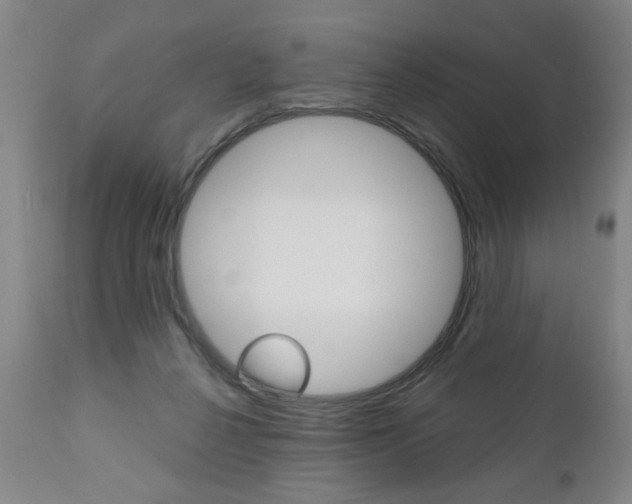 X0000110870264200906181017