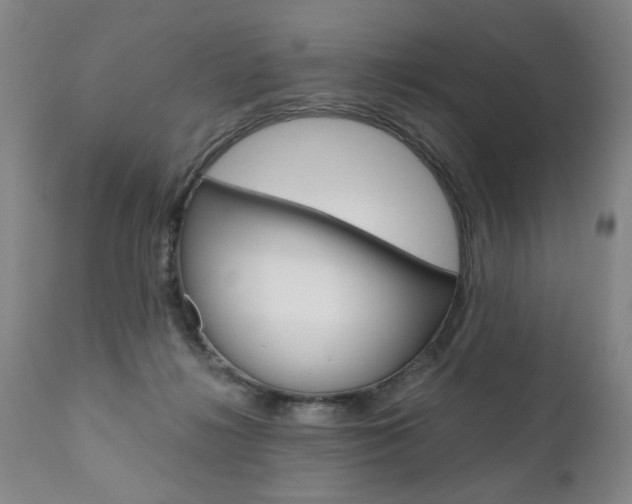 X0000110870268200906181017