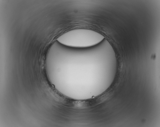 X0000110870273200906181017