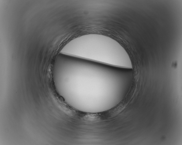 X0000110870280200906181017