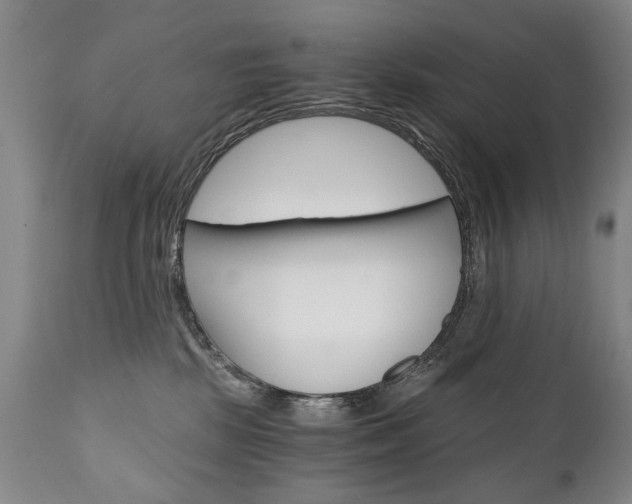 X0000110870281200906181017