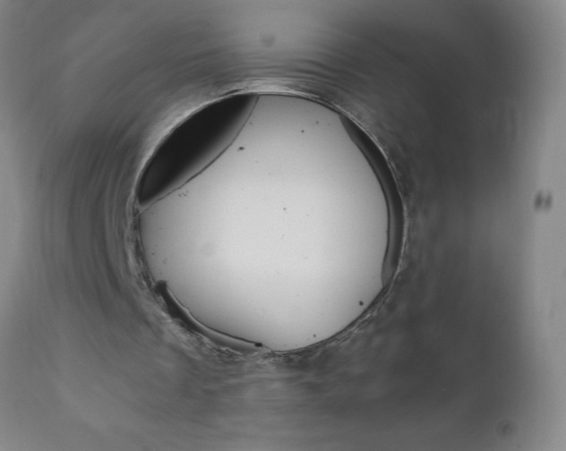 X0000110870289200906181017