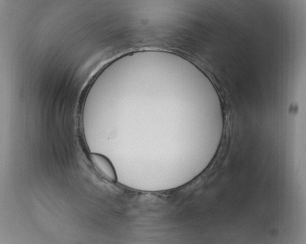 X0000110870290200906181017