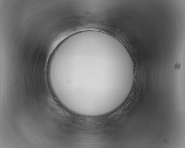 X0000110870292200906181017