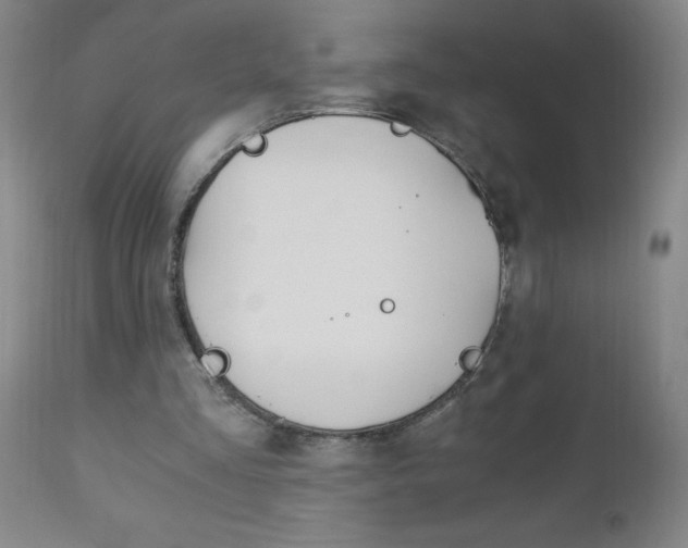 X0000110870293200906181016