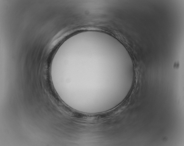 X0000110870295200906181016