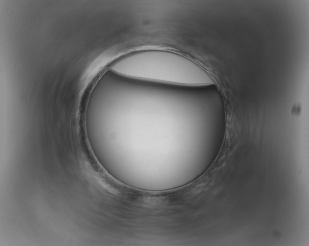 X0000110870296200906181016