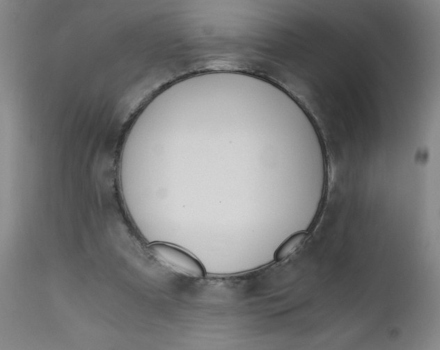 X0000110870297200906181016