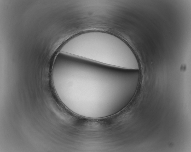X0000110870299200906181016