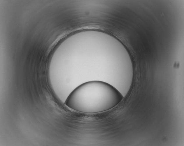 X0000110870300200906181016